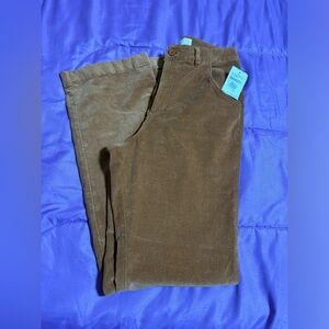 NWT tan lion color velvet pants size 4 treasure & bond